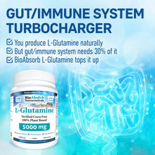 Load image into Gallery viewer, L-Glutamine Powder