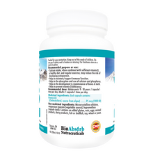 Load image into Gallery viewer, Vegan Vitamin D3 1000 IU