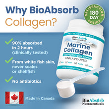 Load image into Gallery viewer, Marine Collagen Powder (Peptan)
