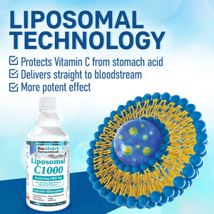 Liposomal Vitamin C Liquid 1000mg (Corn-Free)