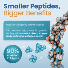 Load image into Gallery viewer, Marine Collagen Powder (Peptan)
