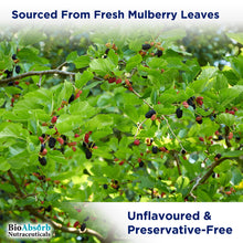 Load image into Gallery viewer, Liquid Chlorophyll
