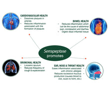 Load image into Gallery viewer, Serrapeptase Enzyme, High Potency 120000 Units (SPU)
